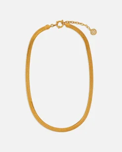 Collares^Lonbali Collar Brad