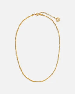 Collares^Lonbali Collar Gandy
